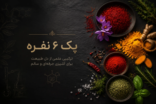 پک جامع ۶ نفره